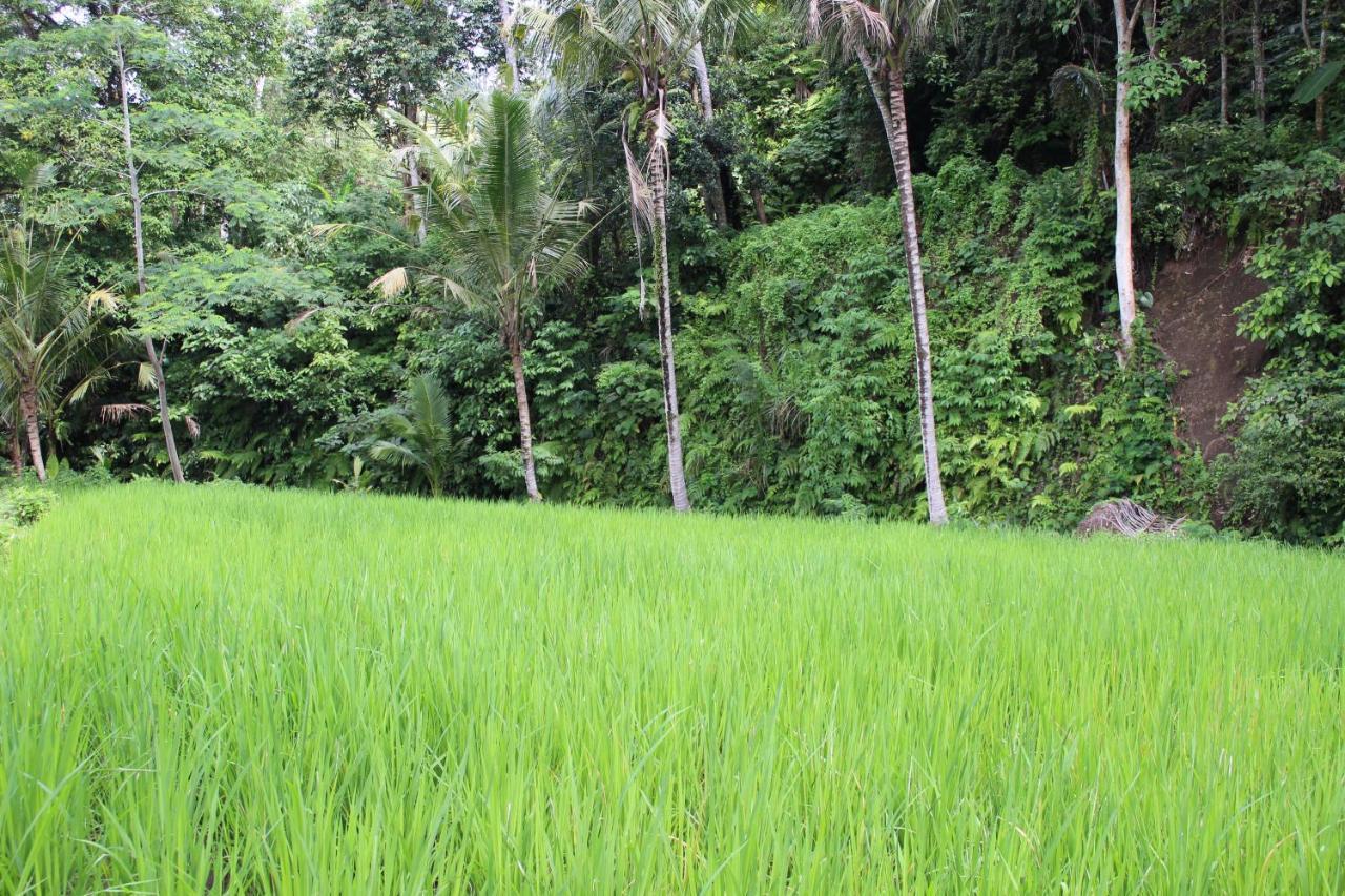 Pondok Tepi Sungai Sidemen  Exterior photo